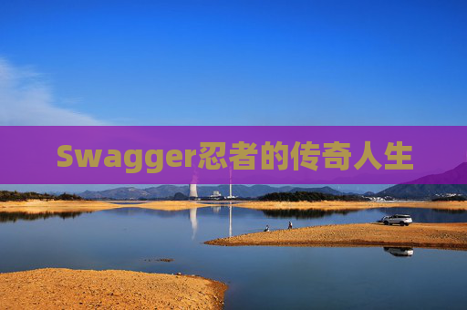 Swagger忍者的传奇人生